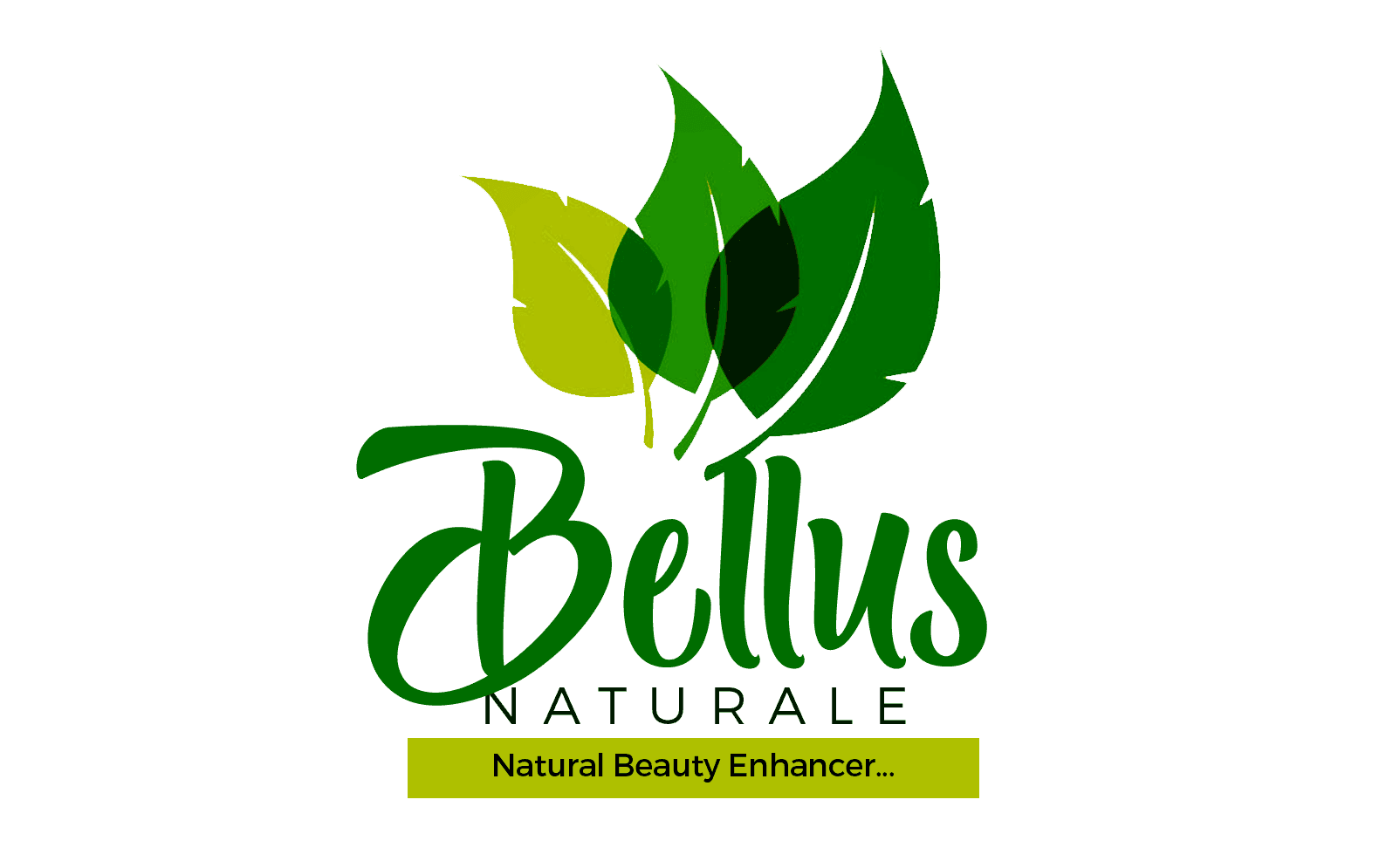 Bellus Logo Design